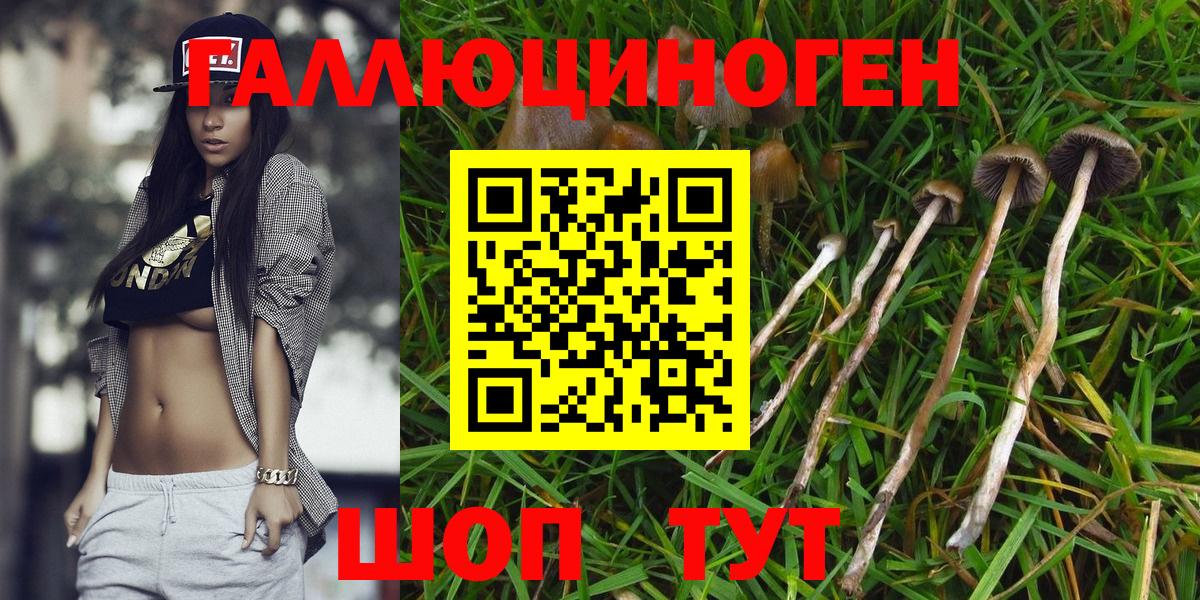 Псилоцибиновые грибы прущие грибы Алексин