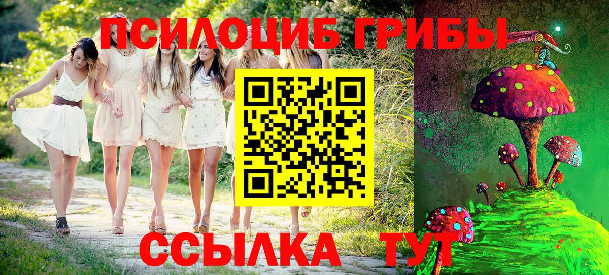 Алексин  Галлюциногенные грибы Psilocybe  Вход с VPN 